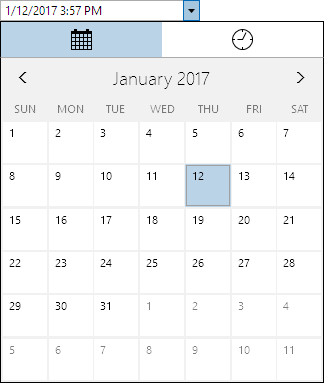 DateTimeEditBoxOpened